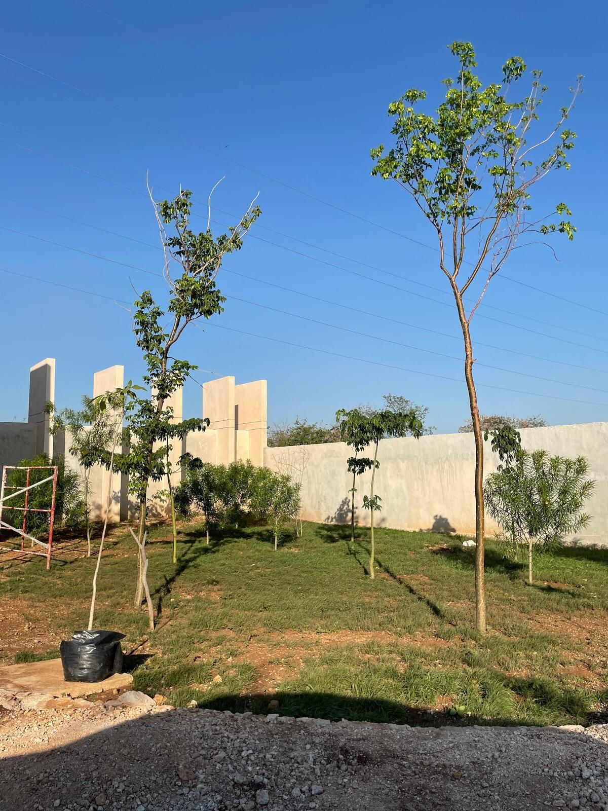 VENTA DE LOTES RESIDENCIALES CHOLUL, YUC.