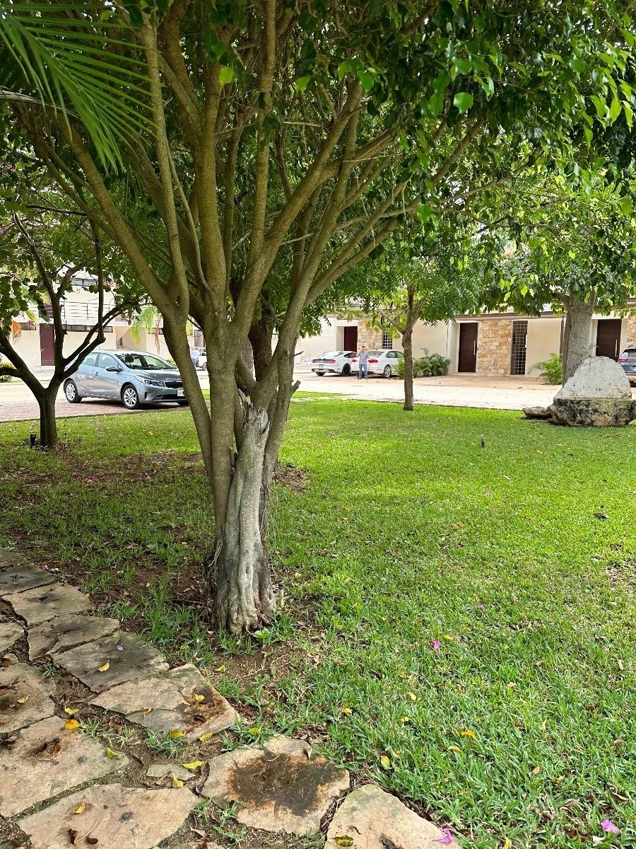 27 de 30