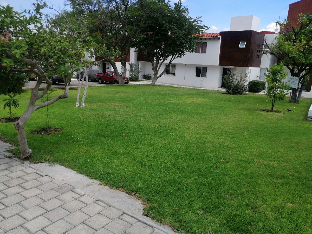 23 de 24