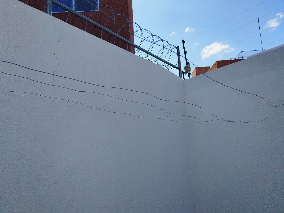 8 de 24