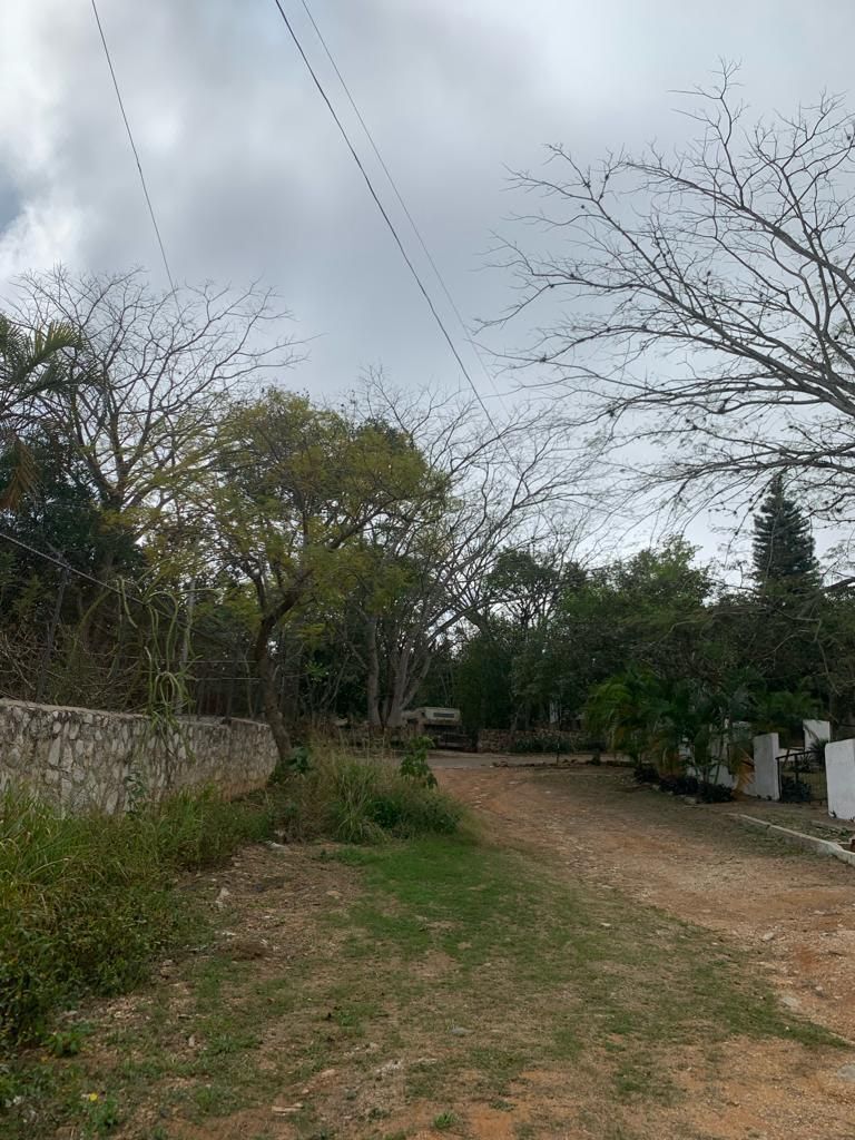 TERRENO EN VENTA EN UNA EXCELENTE ZONA DE LA CIUDAD. - foto 5