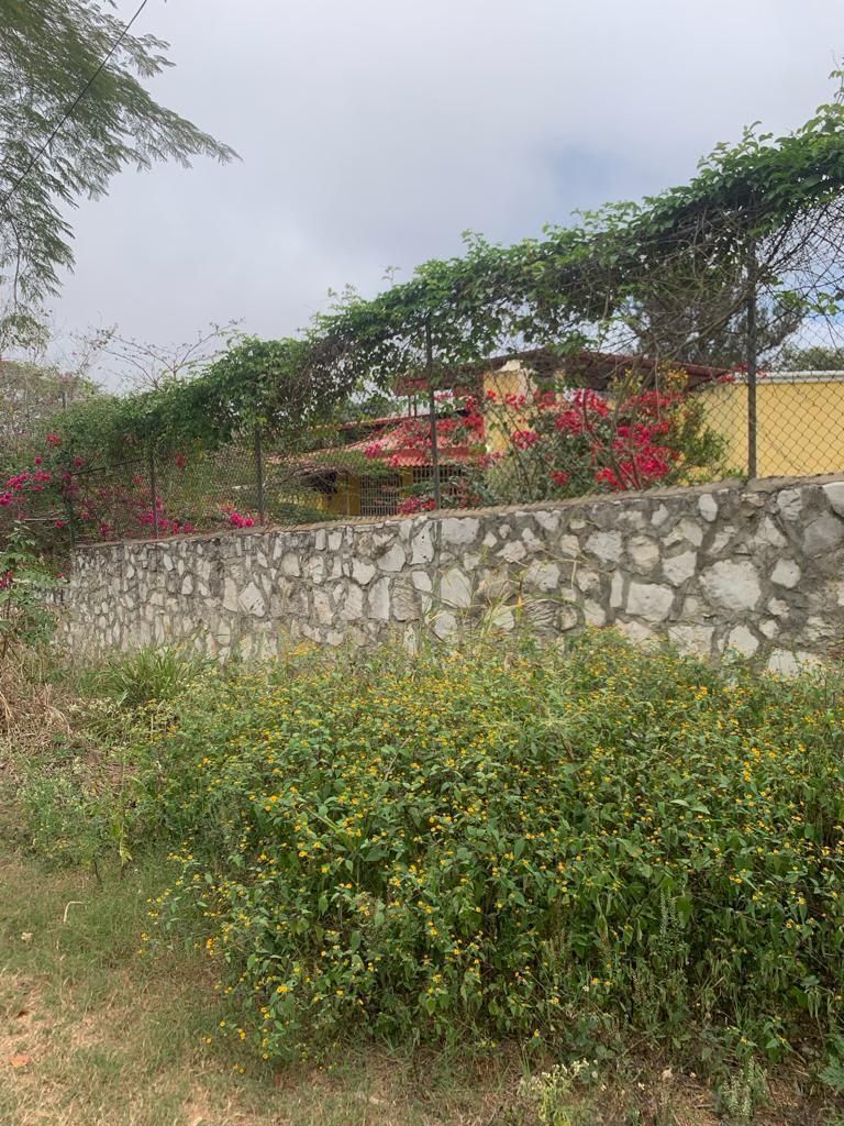 TERRENO EN VENTA EN UNA EXCELENTE ZONA DE LA CIUDAD. - foto 3