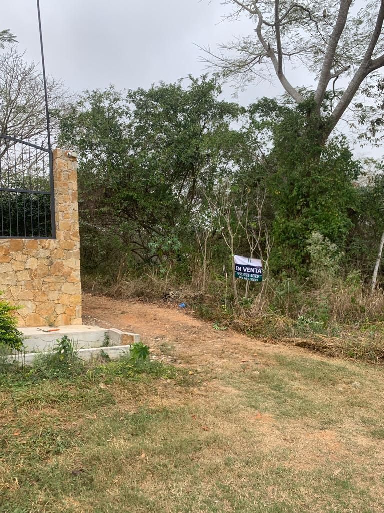 TERRENO EN VENTA EN UNA EXCELENTE ZONA DE LA CIUDAD. - foto 1