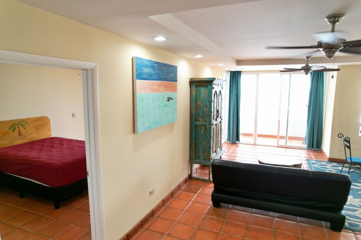 8 de 50