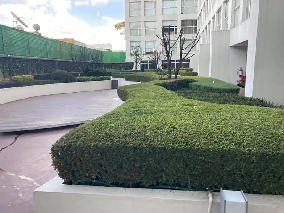 Departamento en Cuajimalpa, Cuajimalpa de Morelos, foto 19 de 24