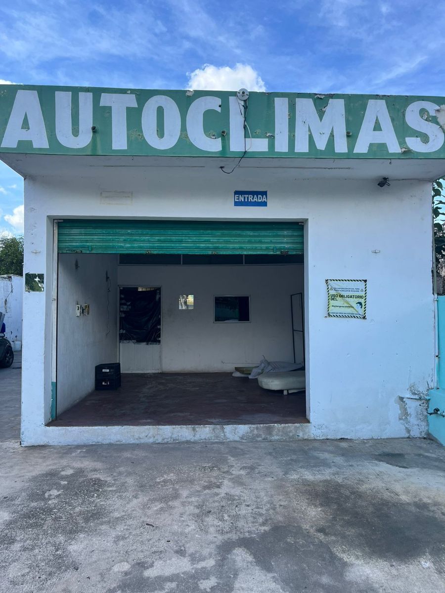 4 de 13