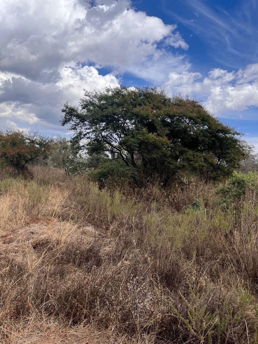 6 of 10: LOTE EN VENTA