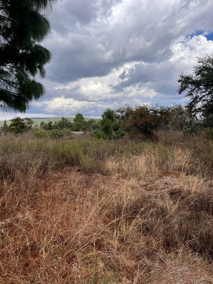 7 of 10: LOTE EN VENTA