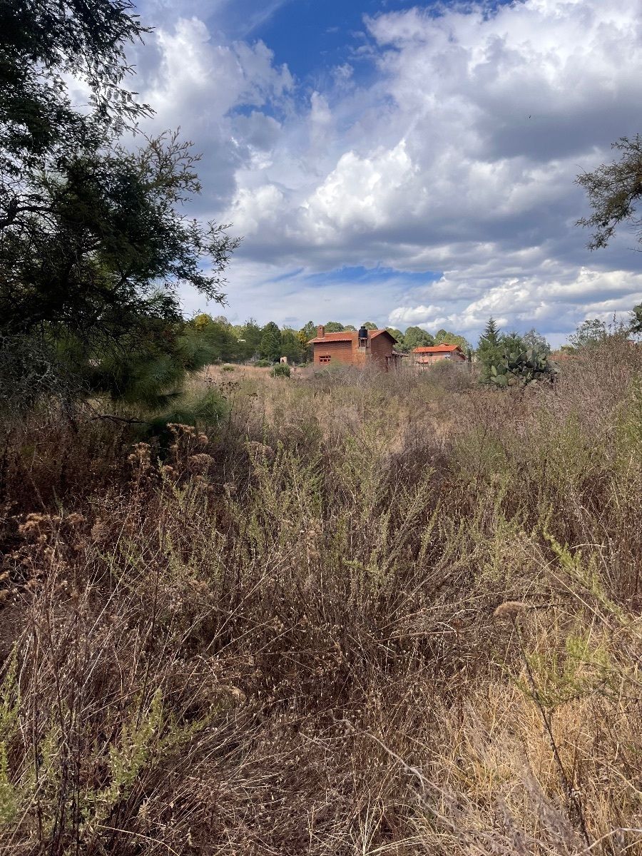 8 of 10: LOTE EN VENTA