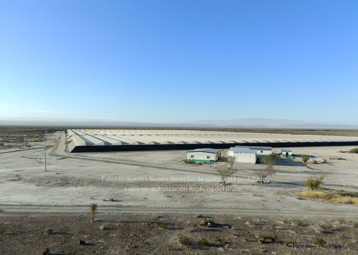 2 de 18: Rancho Agrícola en Venta en Parras, Coahuila