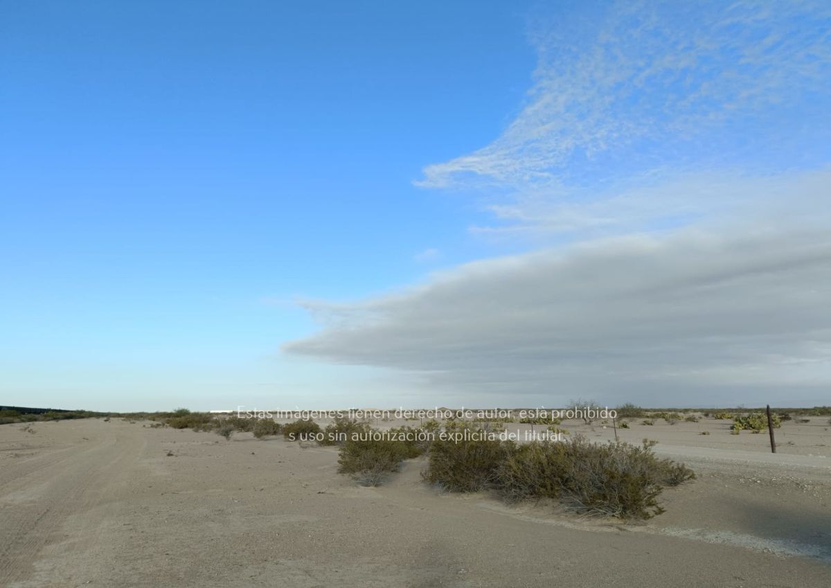 3 de 18: Rancho Agrícola en Venta en Parras, Coahuila