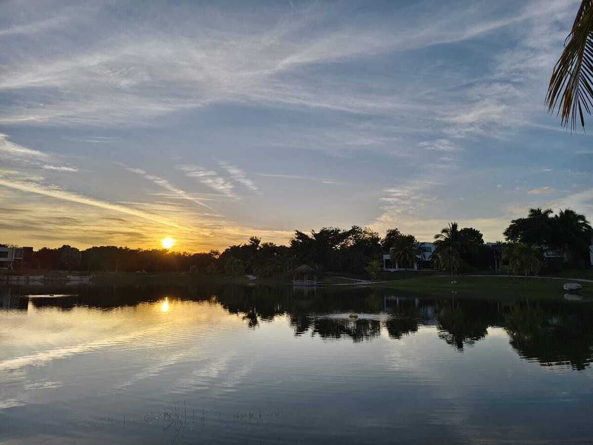 14 de 14