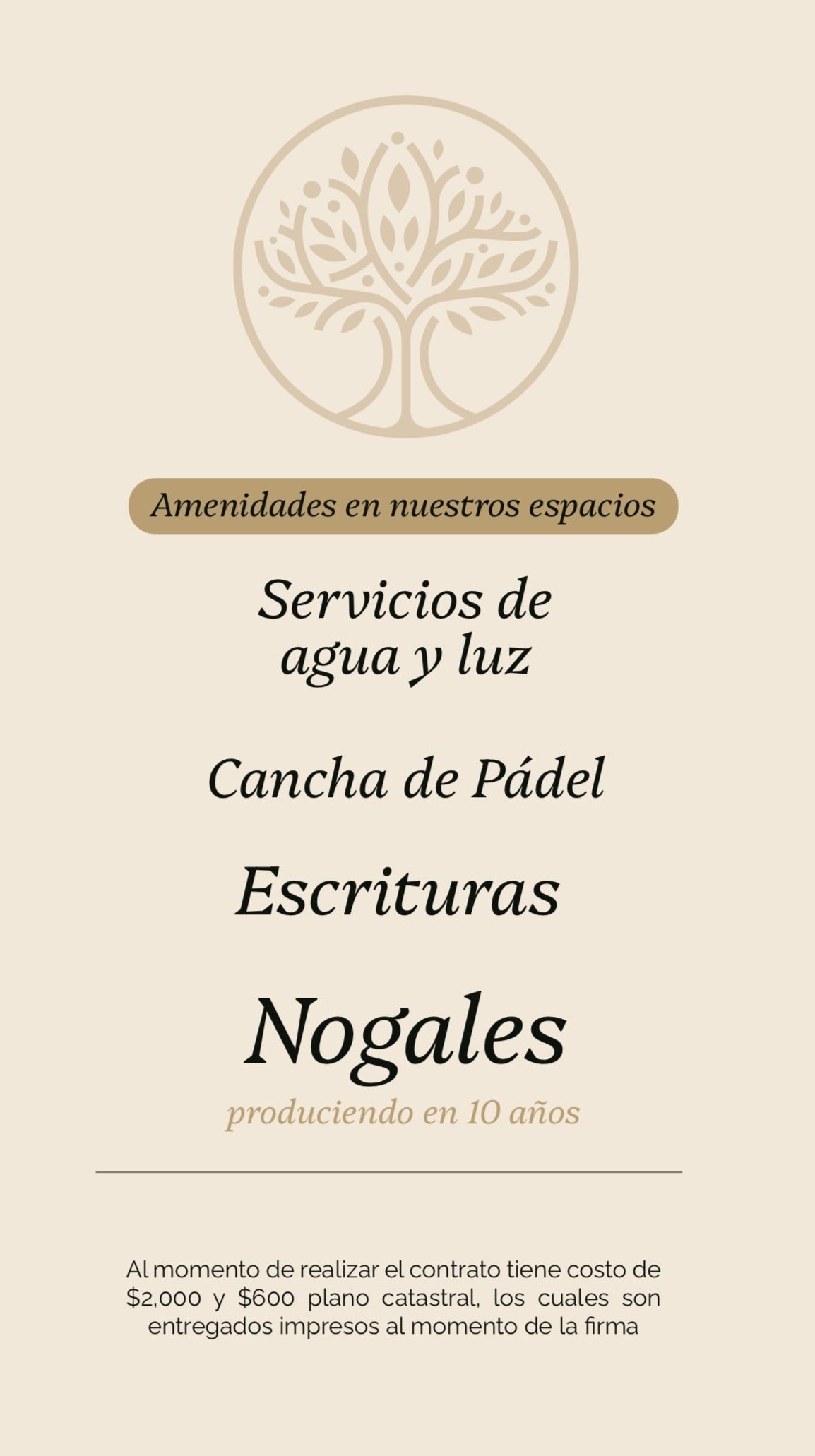 3 de 5