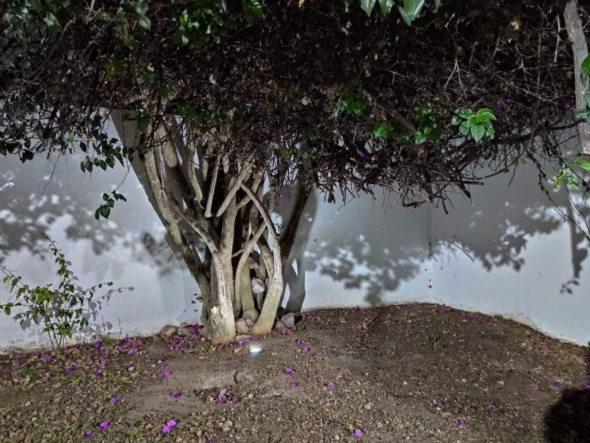 Casa en Los Bosques, Aguascalientes, foto 14 de 14