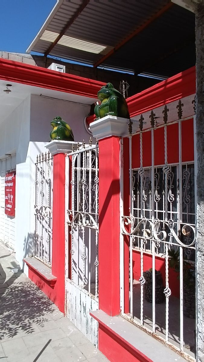 2 of 33: TERRAZA ENTRADA