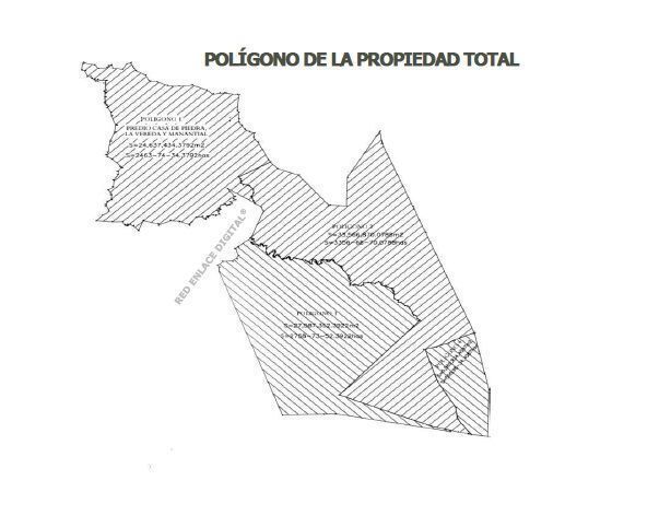 3 de 11
