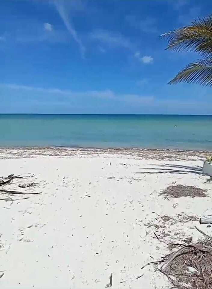36 de 37