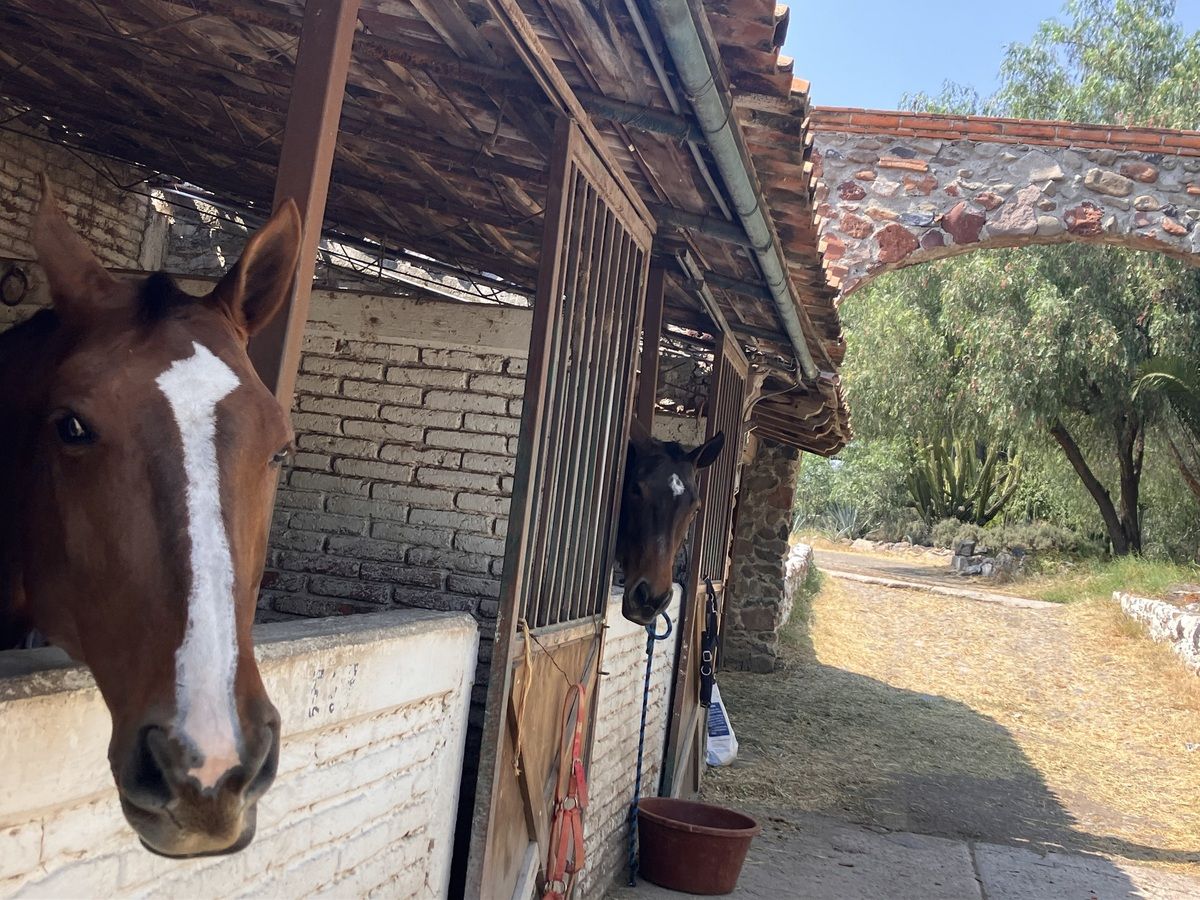 CABALLERIZAS