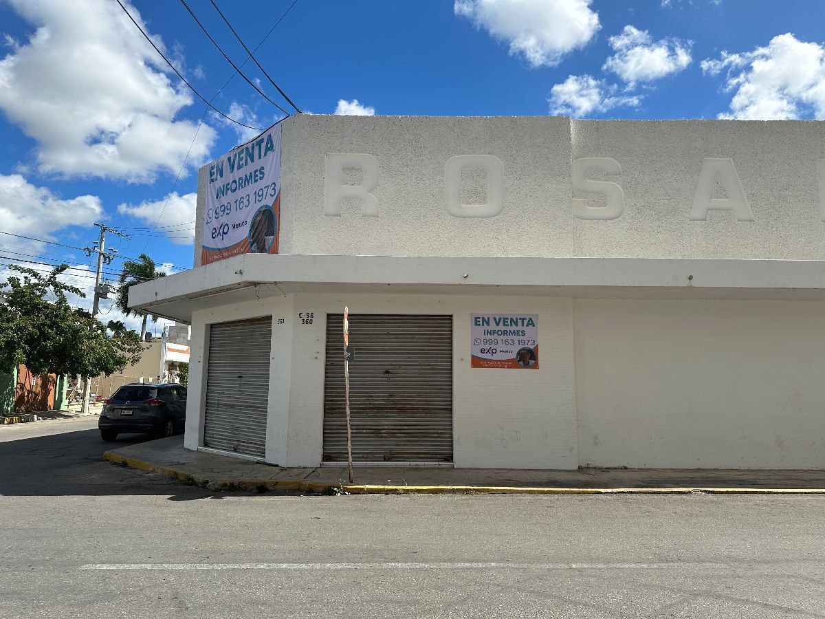 4 de 17