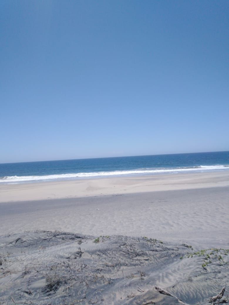 8 of 11: A pie de la playa Arroyo Seco