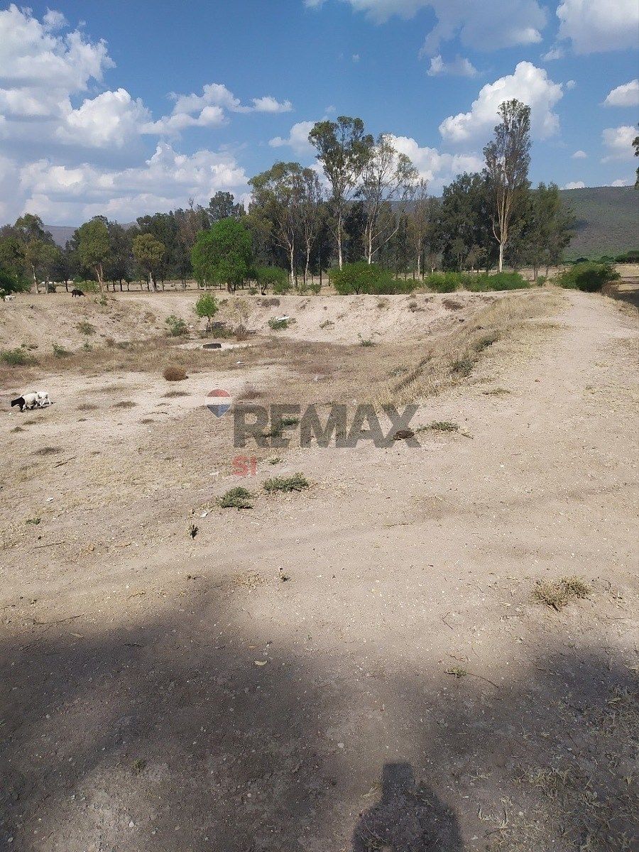Fazenda em La Purísima, San Luis de la Paz, foto 4 de 13