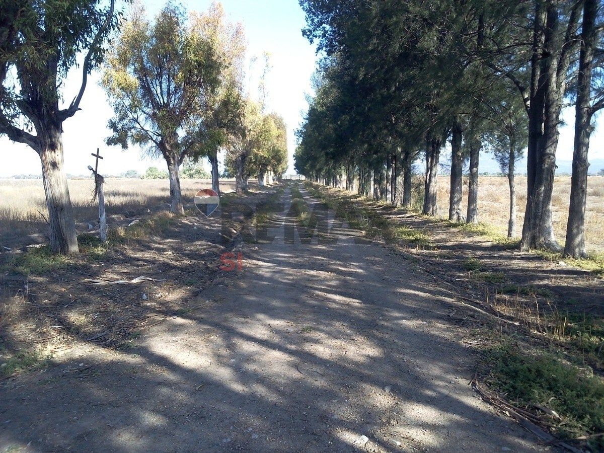 Fazenda em La Purísima, San Luis de la Paz, foto 5 de 13