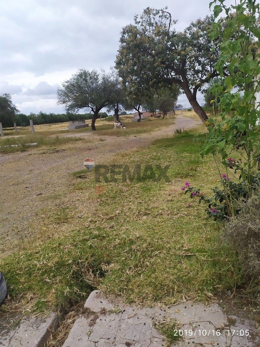 Fazenda em La Purísima, San Luis de la Paz, foto 10 de 13