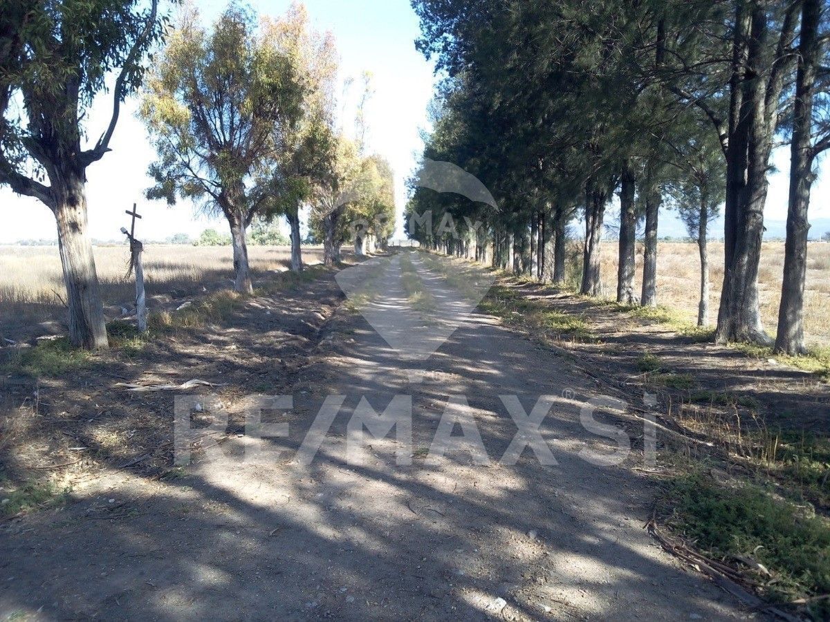 Imagen 5 de 10