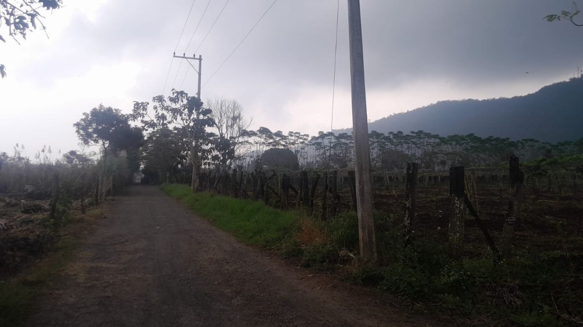 Imagen 5 de 6