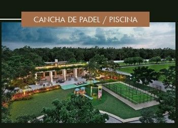 15 de 19
