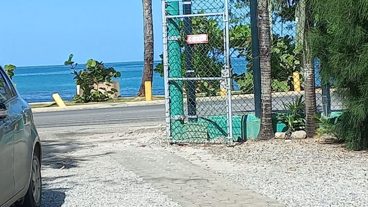 1 de 7