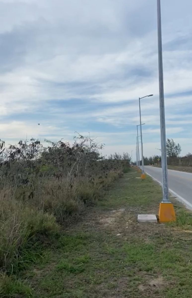 1 de 3