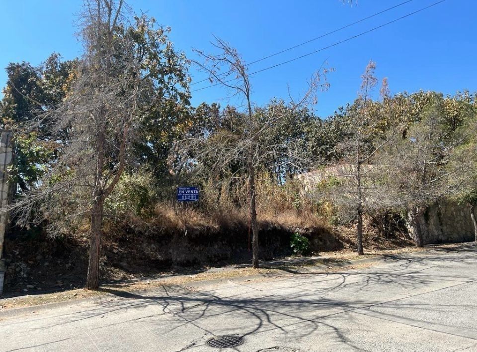 https://assets.easybroker.com/property_images/4273382/71303821/EB-PK3382.jpeg?version=1707489099