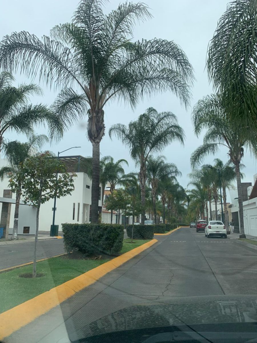 2 de 2