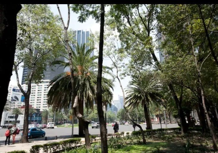 5 de 10
