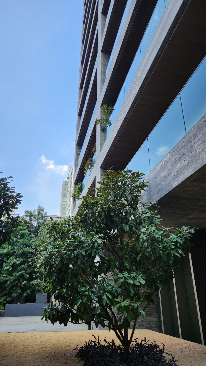11 de 35