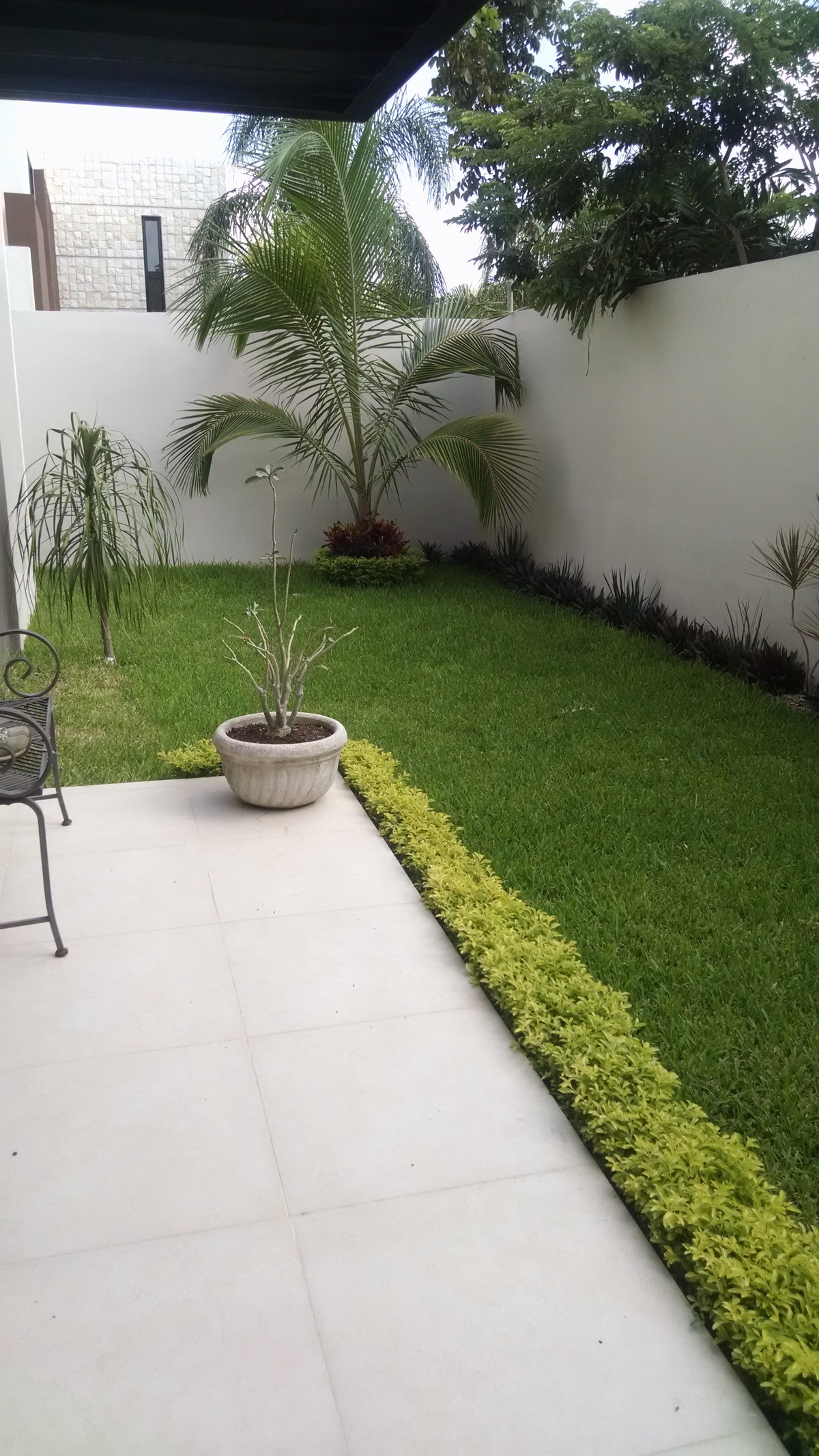 5 de 16: jardín interior