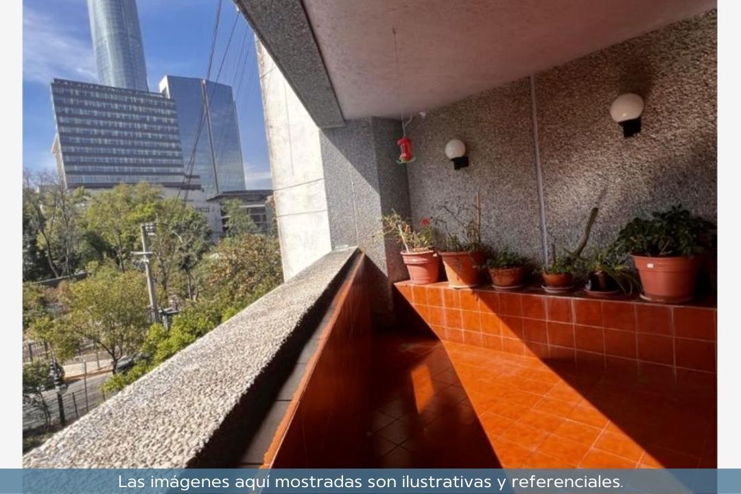 Imagen 9 de 10