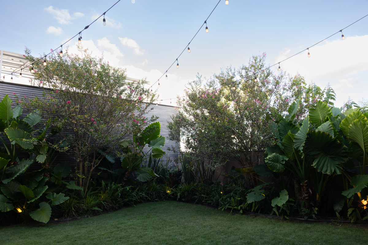 30 de 40: Jardin