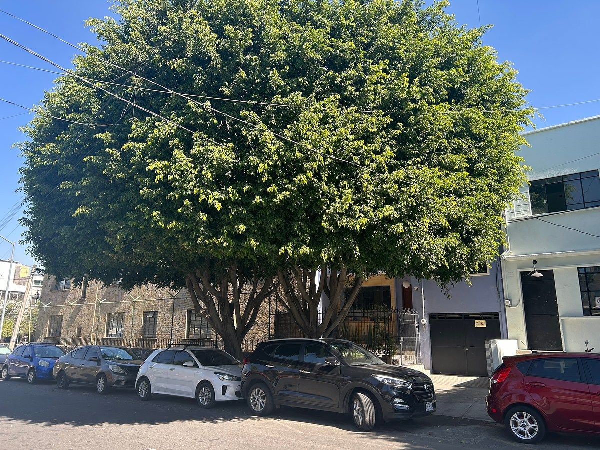 Casa en Arcos Vallarta, Guadalajara, foto 38 de 38