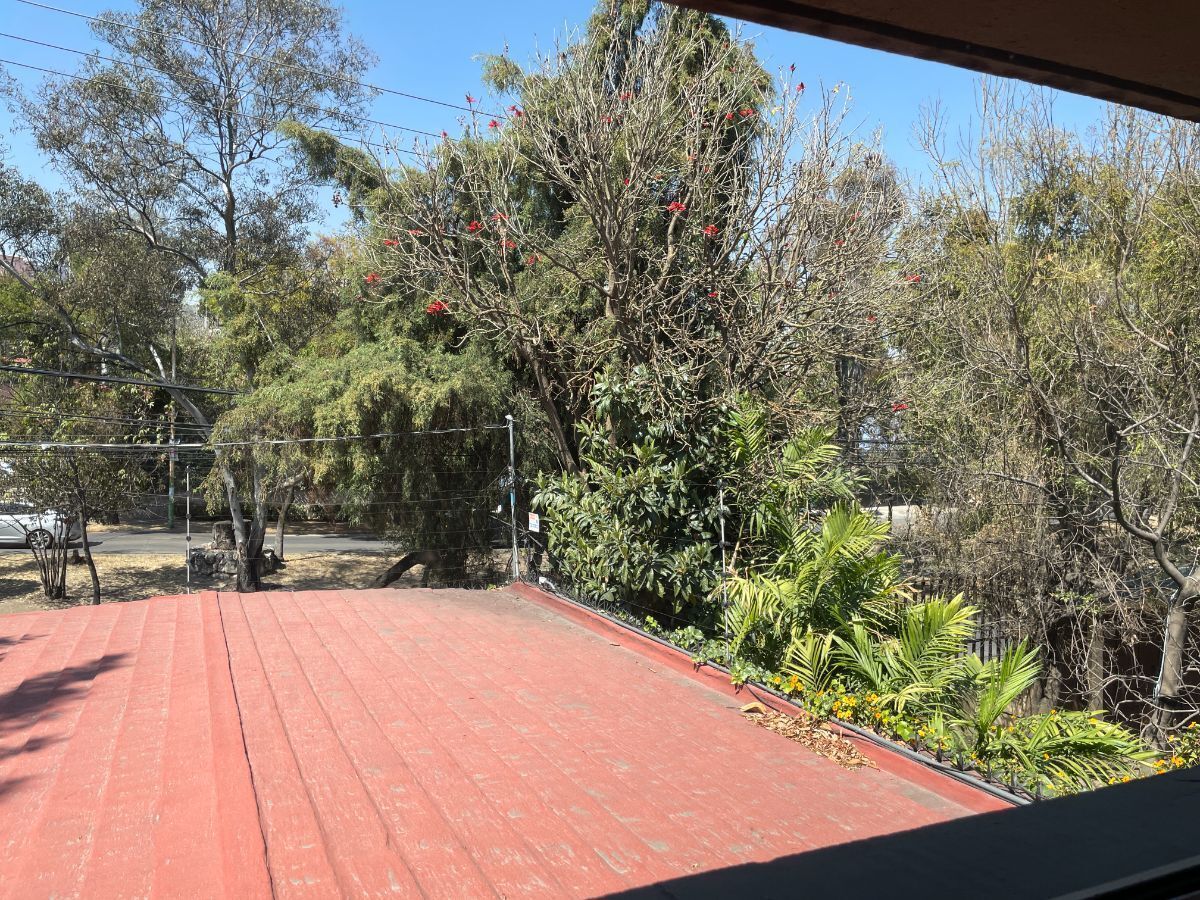 40 de 42: Vista arbolada