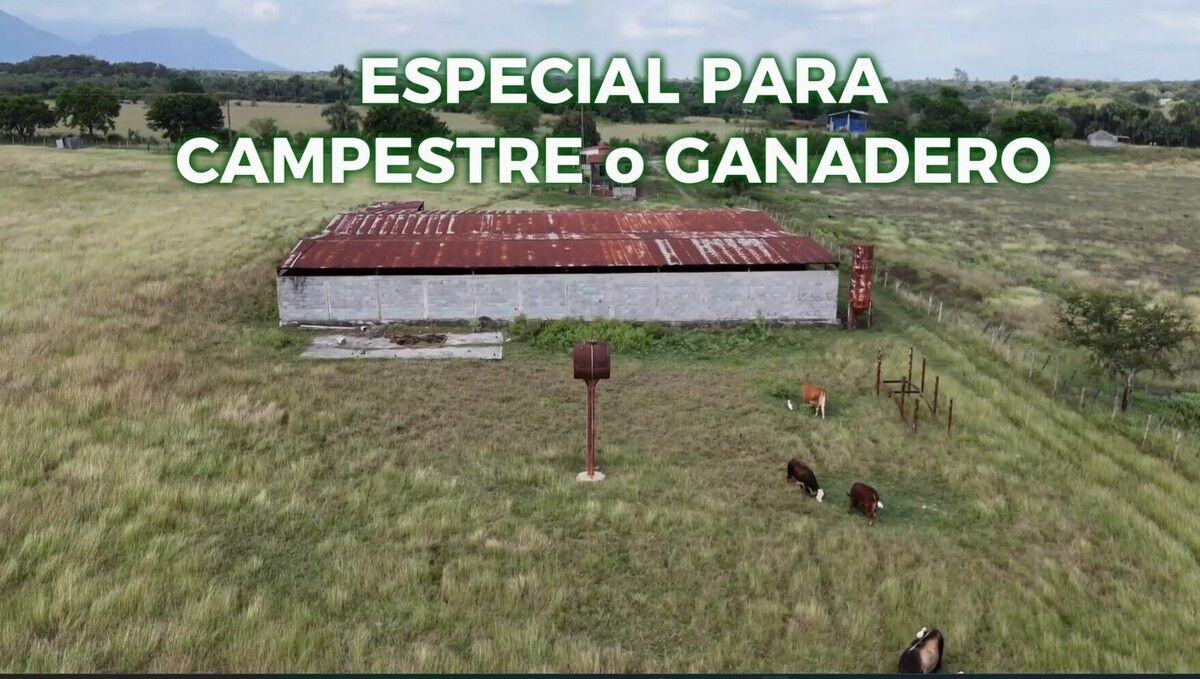 5 de 9