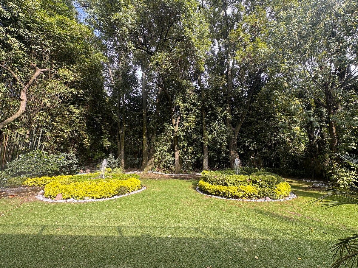 Casa en Lomas de Chapultepec I Sección, Miguel Hidalgo, foto 34 de 34