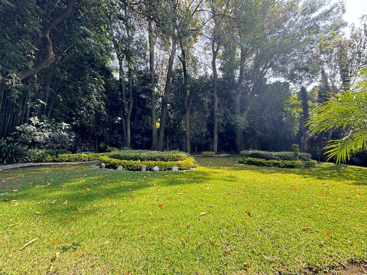 HOUSE WITH GARDENS IN LOMAS DE CHAPULTEPEC - foto 1