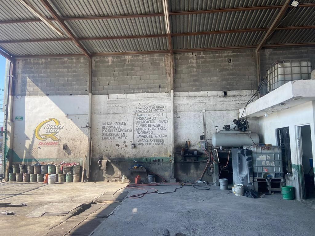 3 de 6