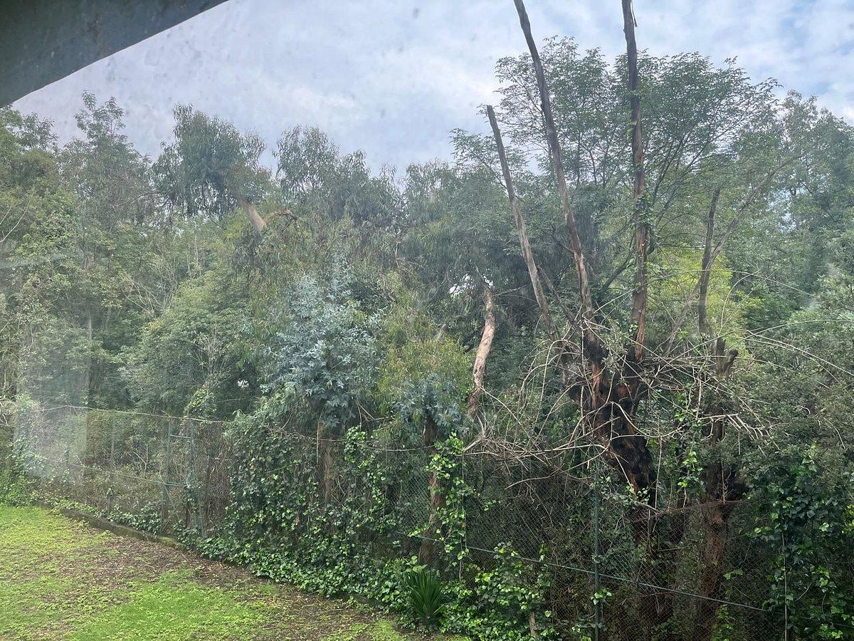 Terreno comercial en Lomas de Chapultepec I Sección, Miguel Hidalgo, foto 4 de 5
