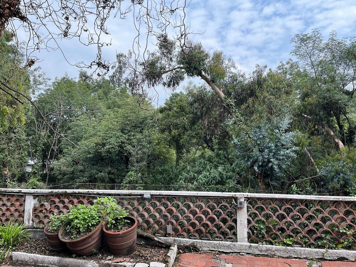 Terreno comercial en Lomas de Chapultepec I Sección, Miguel Hidalgo, foto 5 de 5