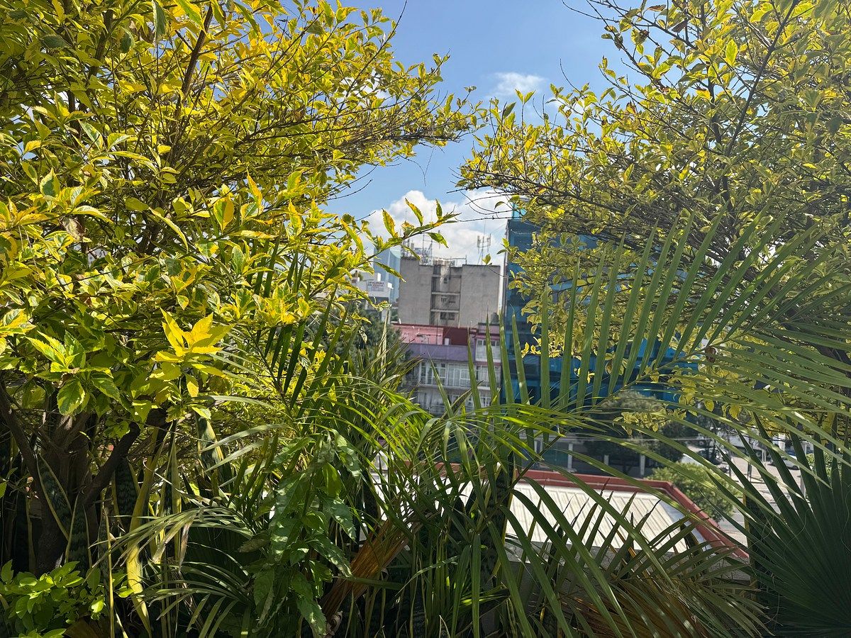 Apartamento em Escandón I Sección, Miguel Hidalgo, foto 20 de 24