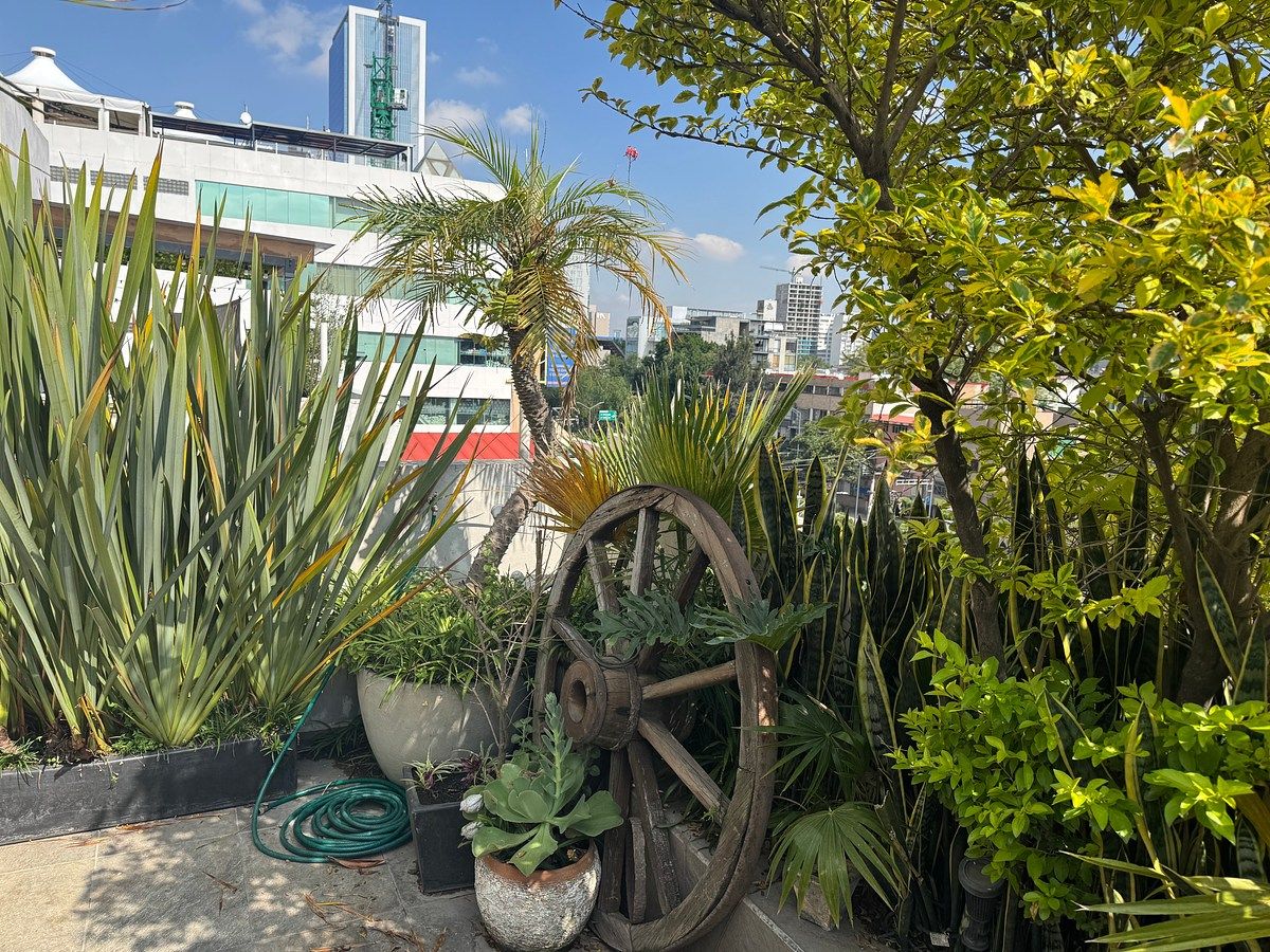 Apartamento em Escandón I Sección, Miguel Hidalgo, foto 21 de 24