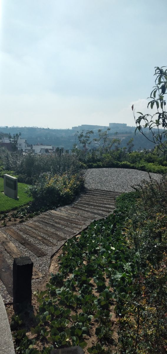 3 de 31: Areas en jardín para fire pits